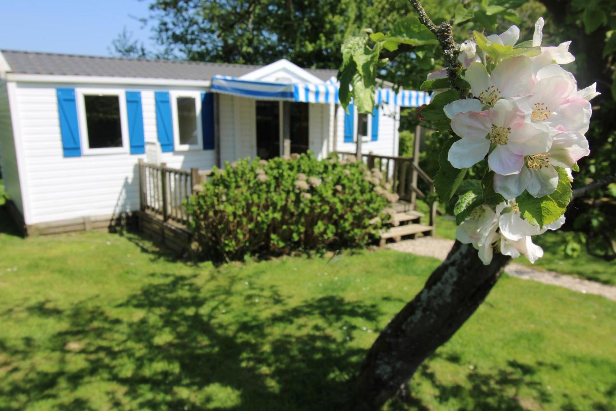 Camping Pommiers Des Trois Pays Licques Dış mekan fotoğraf